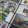De Somerset al mundo: clarks, un libro de historia visual 1825–2025 De Somerset al mundo: clarks, un libro de historia visual 1825–2025